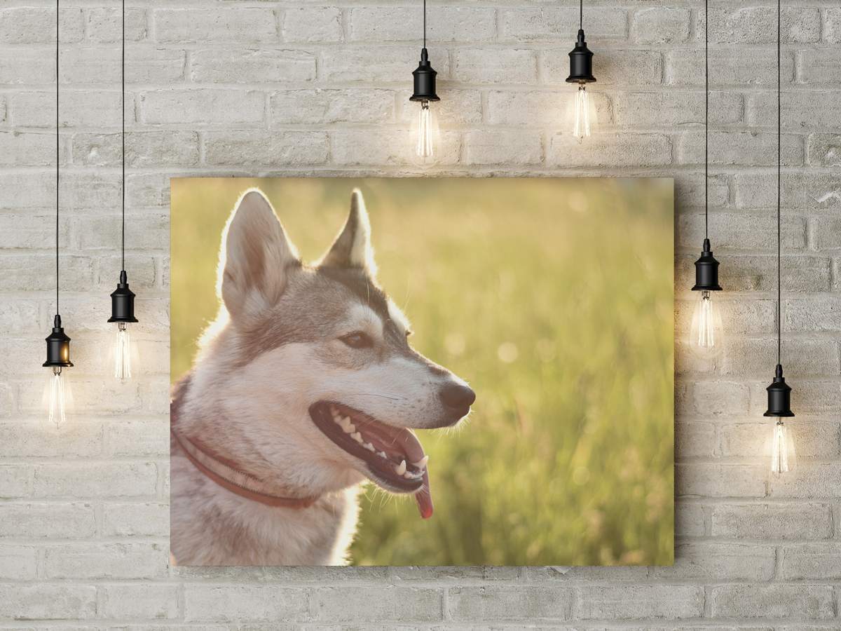 nabídka fotek honzafoto.cz